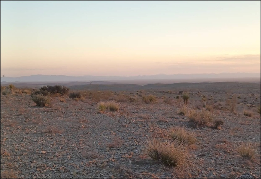 Texas Hudspeth County 0.137 Acre Dell Garden Estates Lot! Great Land Use Options with Views and State Park on the Horizon! Low Monthly Payments!