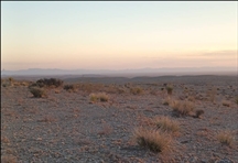 Texas Hudspeth County 0.137 Acre Dell Garden Estates Lot! Great Land Use Options with Views and State Park on the Horizon! Low Monthly Payments!