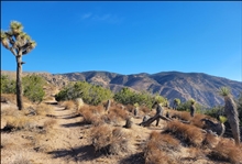 Southern California 0.06 Acre Lot Just Outside The Town of Mojave! Great Investment Near Highway! Tons of Local Recreation! Low Monthly Payments!