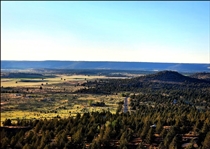 Northern California Modoc County 1.57 Acre Property near Creek And Canyon! Low Monthly Payments!