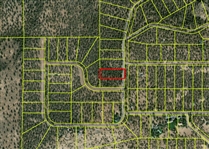 Northern California Modoc County 1.57 Acre Property near Creek And Canyon! Low Monthly Payments!