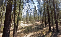 Northern California Modoc County 1.57 Acre Property near Creek And Canyon! Low Monthly Payments!