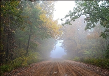 Arkansas Izard County 0.37 Acre Horseshoe Bend Lot near Diamond Lake and Crown Lake! Great Investment Community! Low Monthly Payments!