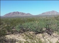Texas Hudspeth County La Hacienda Estates Great Platted Investment Lot with tons of Recreational Opportunities! Low Monthly Payments!