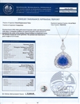 14.02ct Tanzanite and 0.68ctw Diamond 14K White Gold Pendant (Vault_R64) 